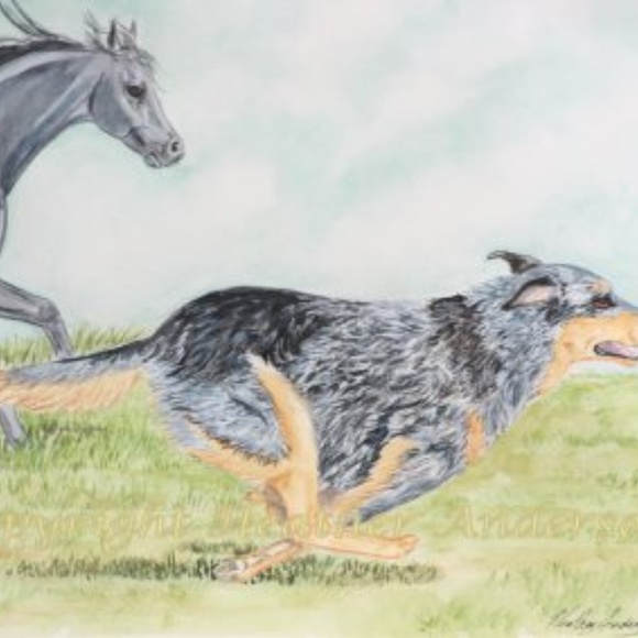 Meet your Posher, Marianna - Picture 4 of 7